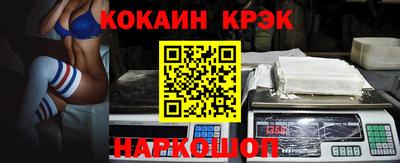 гашик Моздок
