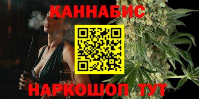 гашик Моздок