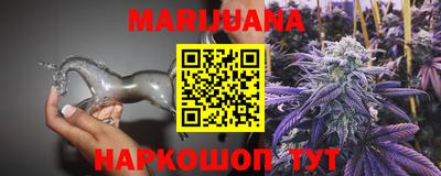 гашик Моздок