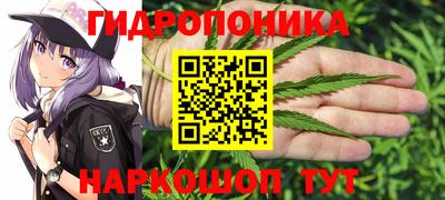 гашик Моздок