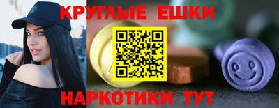 гашик Моздок