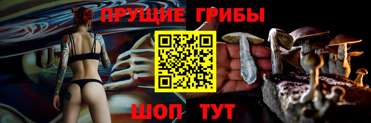 Галлюциногенные грибы Psilocybe Урюпинск